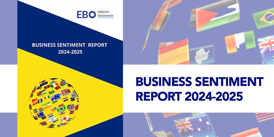 The Business Sentiment Report 2024-2025